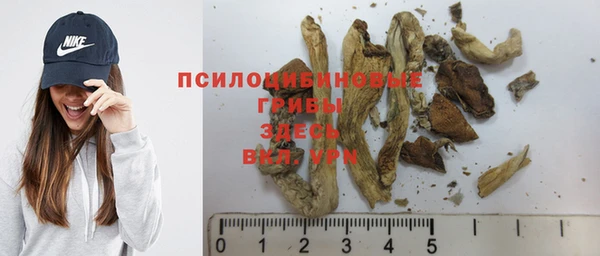 дурь Гусиноозёрск