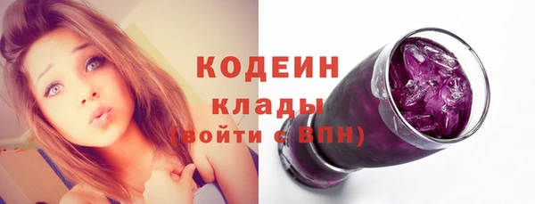 дмт Гусев