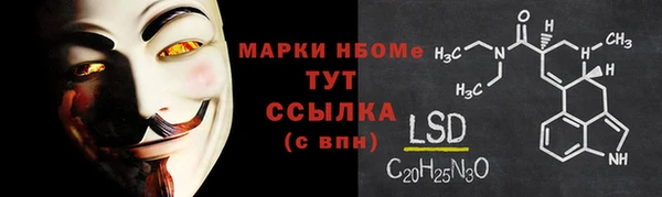 дмт Гусев