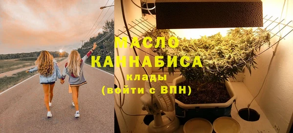 дурь Гусиноозёрск
