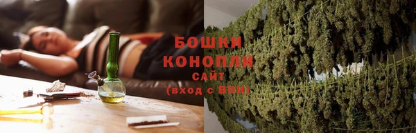 дурь Гусиноозёрск