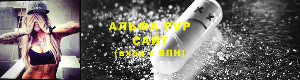 дмт Гусев