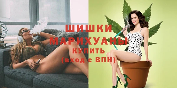 дмт Гусев